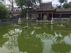 -碧江金楼