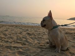 -龙溪海鲜酒家(溪涌店)