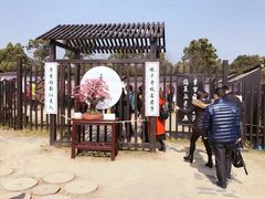 -香雪海