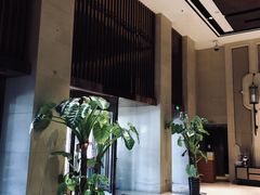-壹号港湾