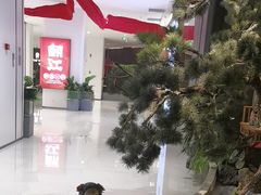 -锦府盐帮·侯宅(五棵松万达店)