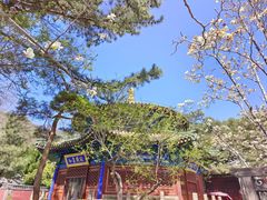 -潭柘寺景区