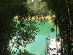 -广州市流溪河国家森林公园