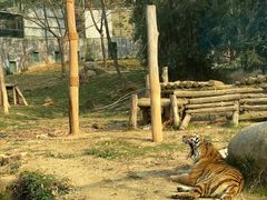 -泉州海丝野生动物世界