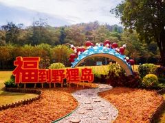 -野狸岛