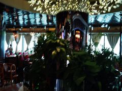 -润园四季椰子鸡火锅(海上世界店)