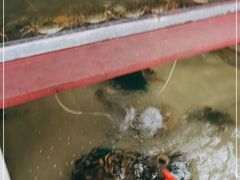 -乡乐园蟹庄·阳澄湖农家乐