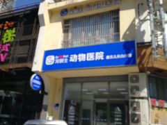 -宠爱国际动物医院· 猫科· 外科·中兽医(长白店)