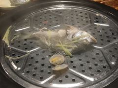 黄翅鱼-船奇蒸汽海鲜·闽菜(八市海鲜总店)