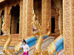 -西双版纳勐泐文化旅游区