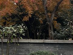-颐和路民国时期公馆风貌区