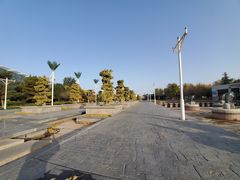 -石家庄市植物园