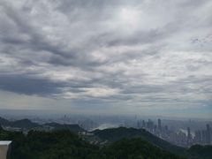 -大金鹰园