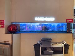 -老板恋上鱼(恒隆广场店)