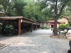 -静园(和平区)
