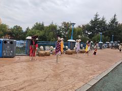 -青岛方特梦幻王国