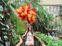 -正佳雨林生态植物园