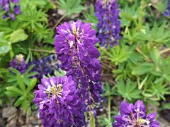 -龙美术馆(西岸馆)