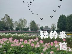 -花博汇(知音花月夜)