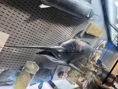 -青岛海底世界-水族馆