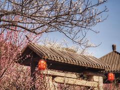 -无锡梅园公园