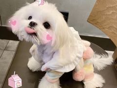 -EnergyCake蛋糕理想国