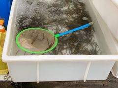 -桂萍特色牛筋牛杂(长堤街总店)
