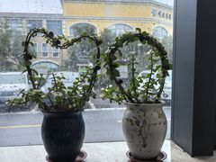 -苏州工业园区奥特莱斯亚朵酒店