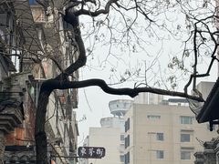 -東茅街茶馆