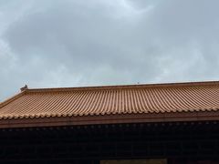 -深圳仙湖植物园