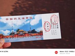 -药王庙(安国市)