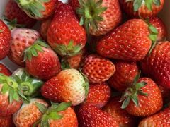 -果松木炭酸菜铜火锅·外婆参鸡汤