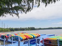 -上海海湾国家森林公园