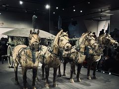 -秦始皇帝陵博物院-丽山园