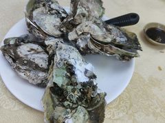 -蚝家菜馆(沙井店)