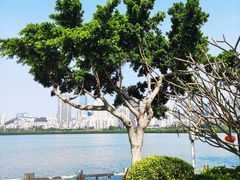 -白鹭洲公园