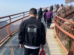 -少华山国家森林公园