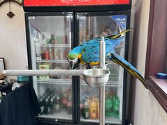 -观桥阁(锦溪店)