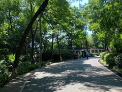 -北极阁公园