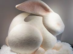 -辰熙ACX星海艺术中心