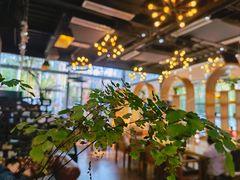 -桉树林A coffee 森林餐厅(三圣乡店)