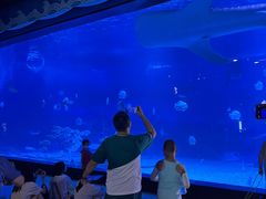 -烟台海昌鲸鲨海洋公园