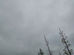 -滆湖低碳生态公园