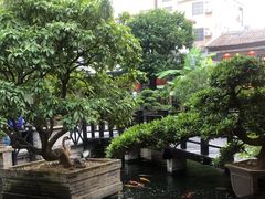 -猪肉婆私房菜(容桂总店)