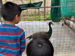 -新塘水果乐园(东洲大道店)