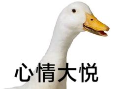 -龍歌自助小火锅(芝罘万达店)