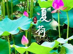 -宣武艺园