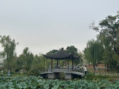 -武汉园博园(武汉自然博物馆)