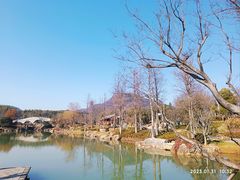 -牛首山文化旅游区