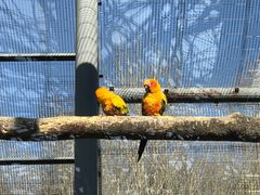 -济南野生动物世界